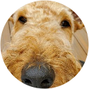 Nancie Sicard Nancie Sicard